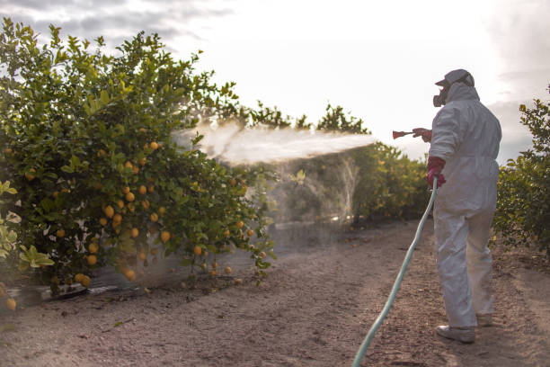 Best Pest Inspection Near Me  in Prosperity, WV