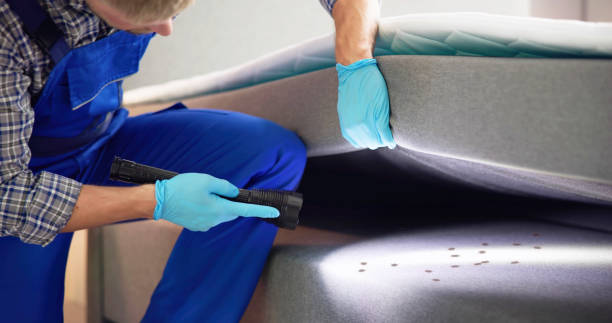 Best Mosquito Control Services  in Prosperity, WV