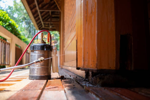 Best Bed Bug Extermination  in Prosperity, WV